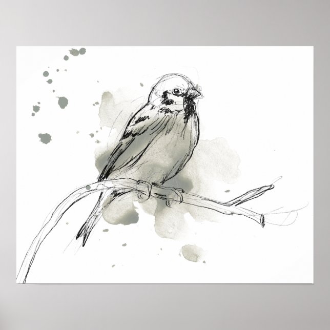 Poster Étude des oiseaux de la nature (Devant)