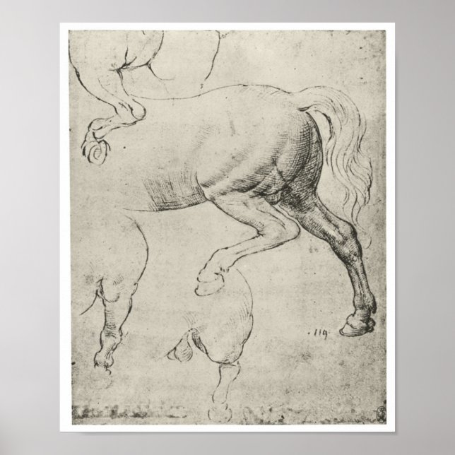 Poster Étude des quartiers arrière d'un cheval, Da Vinci (Devant)