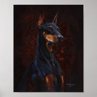 Poster Étude Doberman Pinscher