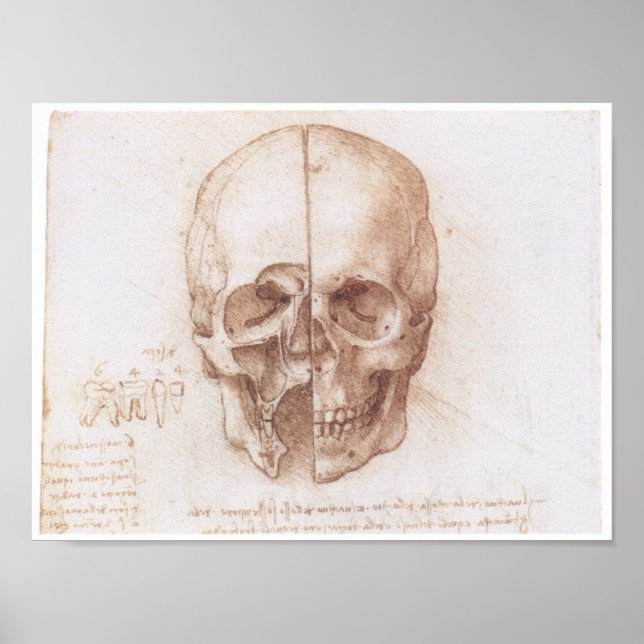Poster Étude du crâne humain, Léonard de Vinci (Devant)