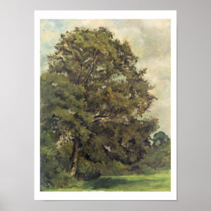 Poster Étude d'un arbre de cendre, c.1851 (huile sur le