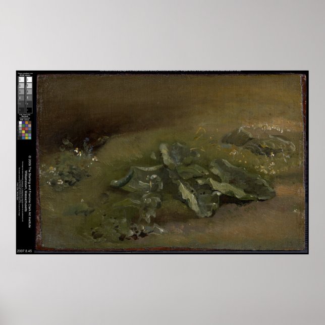 Poster Étude d'un Burdock - John Constable (Devant)