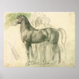 Poster Étude d'un cheval avec des chiffres
