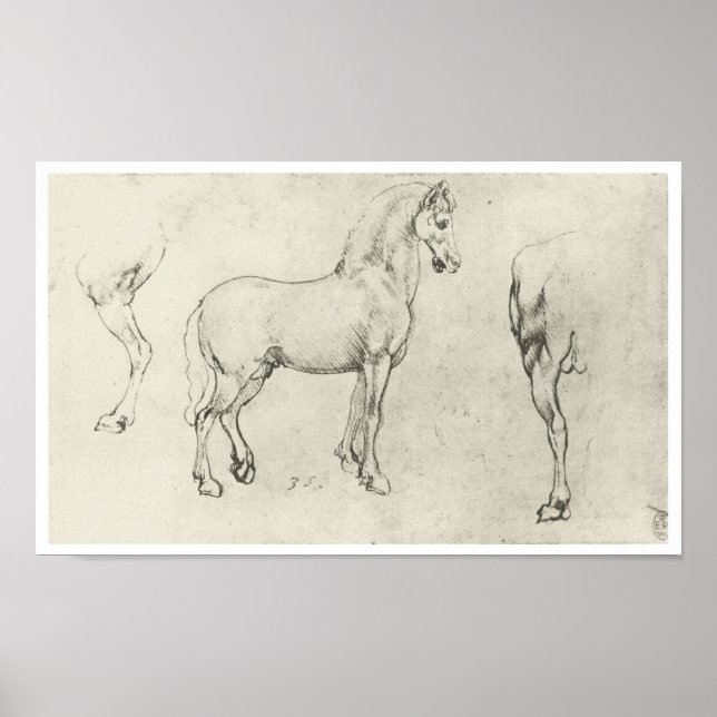 Poster Étude d'un cheval et c'est le quartier arrière, Da (Devant)