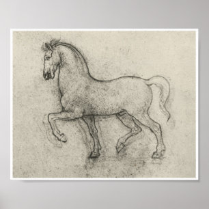 Poster Étude d'un cheval, Léonard de Vinci