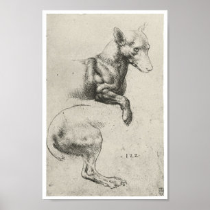 Poster Étude d'un chien, Léonard de Vinci