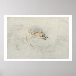 Poster Étude d'un Fox de acroupissement, faisant face au