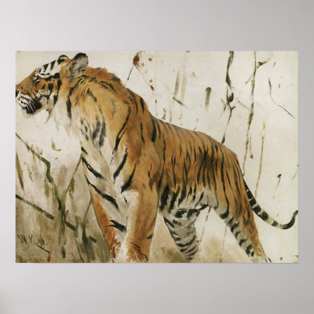 Poster Étude d'un tigre par Wilhelm Kuhnert (Devant)