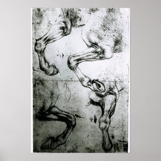 Poster Études des jambes des chevaux (Devant)
