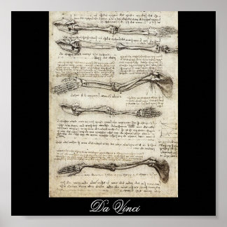 Poster Études du bras par Leonardo Da Vinci c. 1510