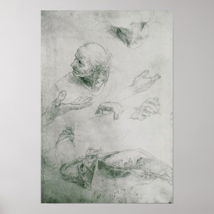 Poster Études pour la figure de Bramante