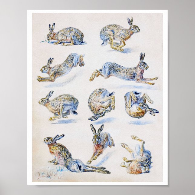 Poster Études sur le lièvre sauvage (lapin), Bruno Liljef (Devant)