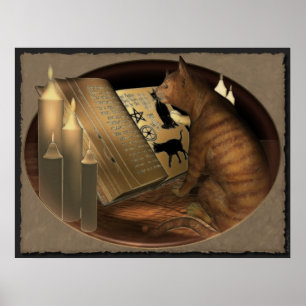 Poster Étudier les leçons de chats Imprimer