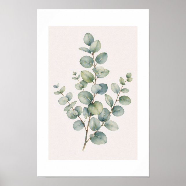 Poster Eucalyptus (Devant)