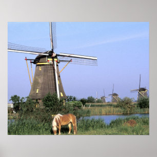 Poster Europe, Pays-Bas, Zuid Holland, Kinderdijk. 2