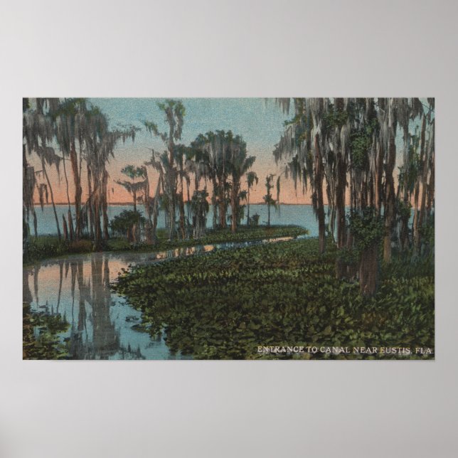 Poster Eustis, Floride - Vue sur le canal de Swampy (Devant)