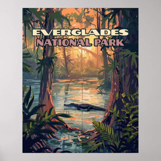 Poster Everglades Parc National Alligator Marécage Florid (Devant)