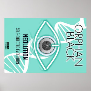 Poster Evolution autogérée (Poster)