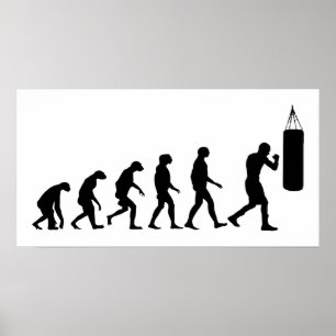 Poster Évolution de la boxe