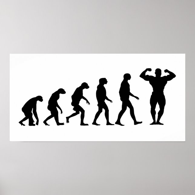 Poster Évolution de la construction du corps (Devant)