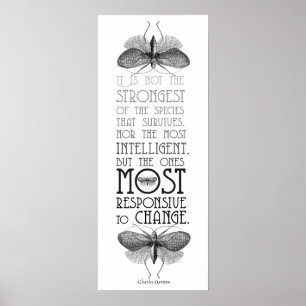 Poster Évolution des citations de Darwin