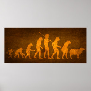 Poster Evolution des masses Imprimer