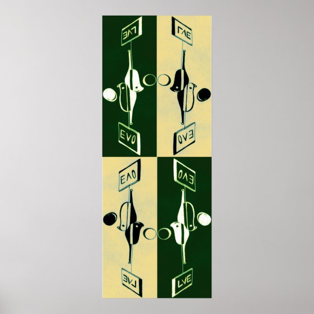 Poster Evolution du Yin et du Yang (Devant)