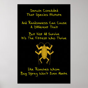 Poster Evolution Limerick