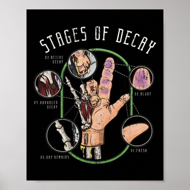 Poster Examiner Halloween Forensics Coroner Cadeau Médica (Devant)