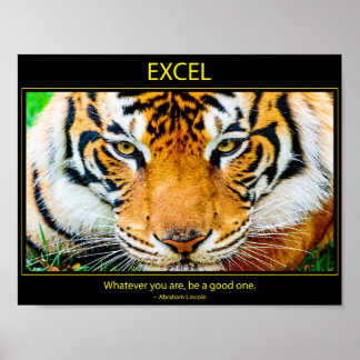 Poster Excel