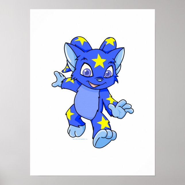 Poster Excité Starry Acara (Devant)