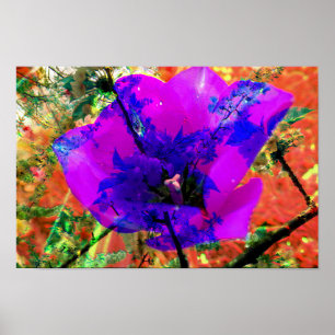 Poster excuses parfaites