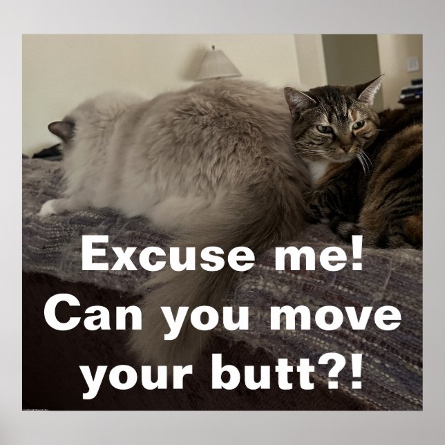 Poster Excusez-Moi ? Peux-tu bouger ton cul ? ! (Devant)