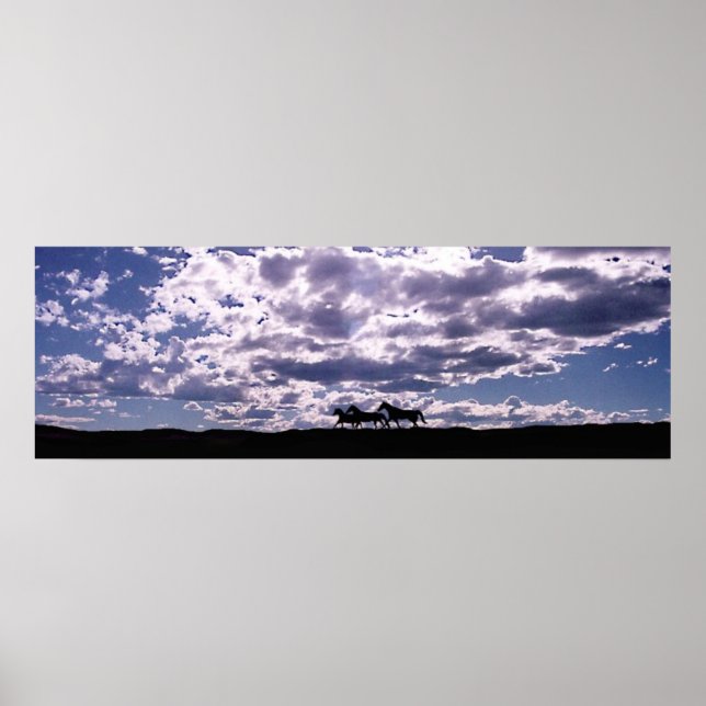 Poster Exécution gratuite 2 (Devant)