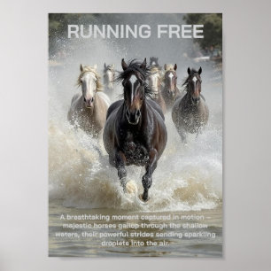 Poster Exécution libre