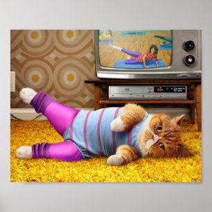 Poster Exercice Cat