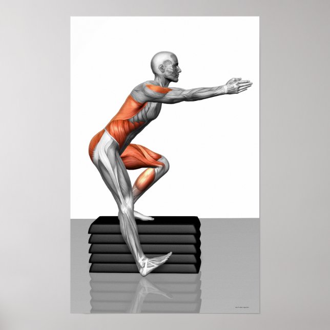 Poster Exercices pas à pas (Devant)