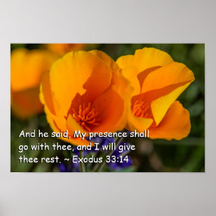Poster Exode 33:14