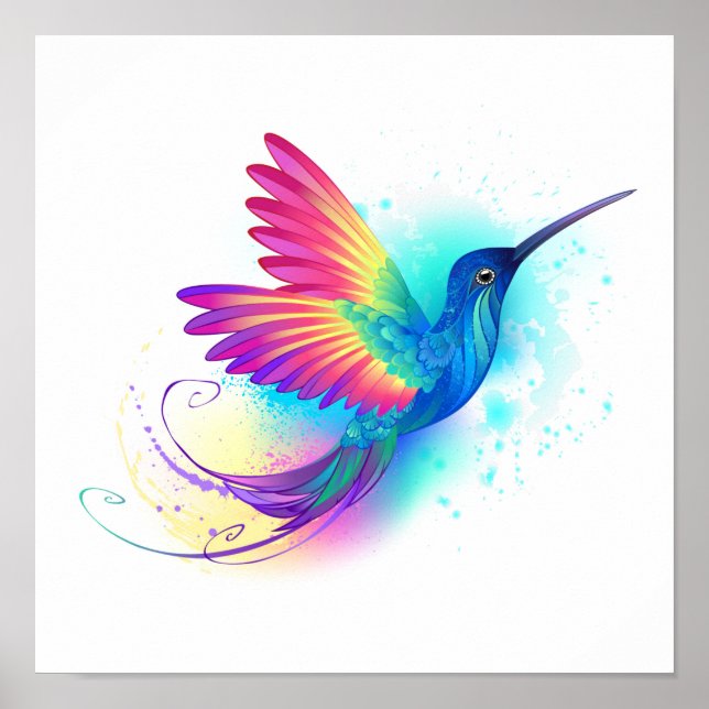 Poster Exotic Rainbow Hummingbird (Devant)