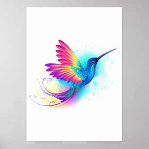 Poster Exotic Rainbow Hummingbird