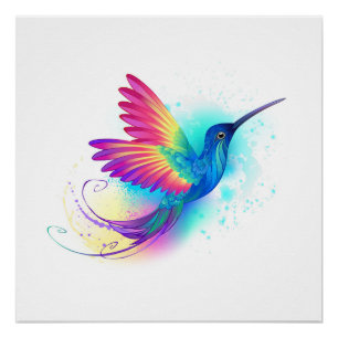 Poster Exotic Rainbow Hummingbird