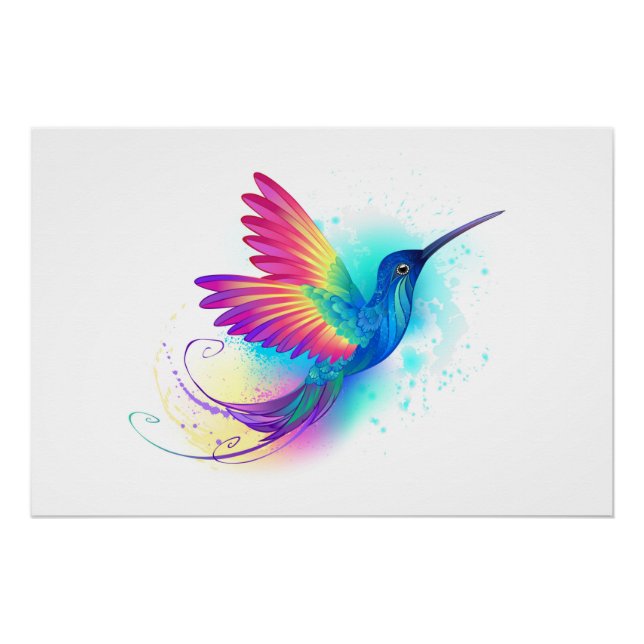 Poster Exotic Rainbow Hummingbird (Devant)