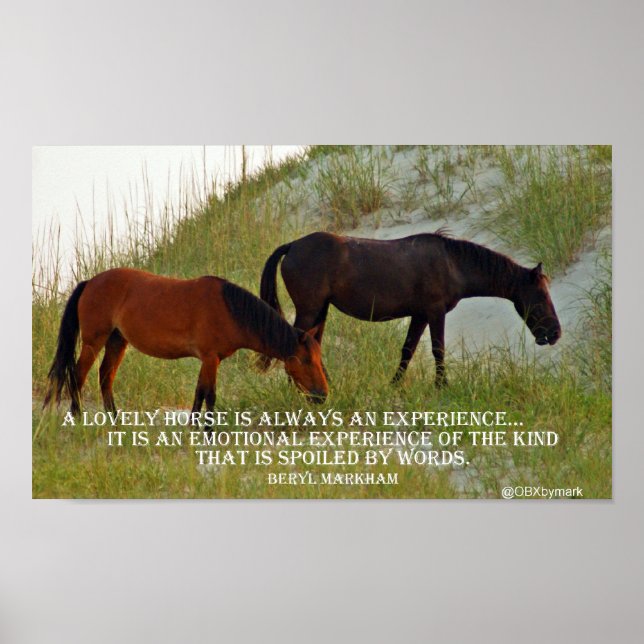 Poster expérimenter un cheval (Devant)