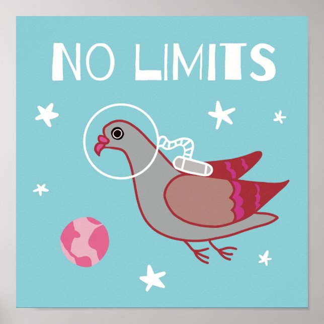 Poster explorateur spatial de pigeon (Devant)