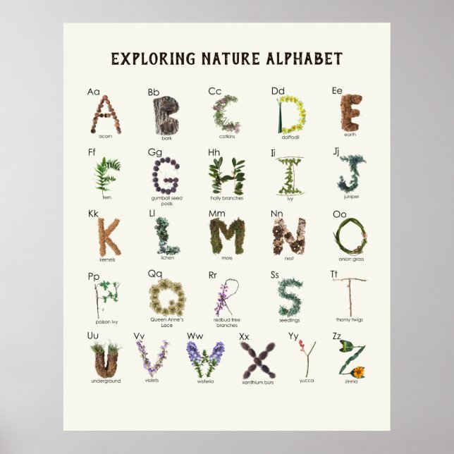 Poster Exploration de l'alphabet naturel | Woodland ABC N (Devant)
