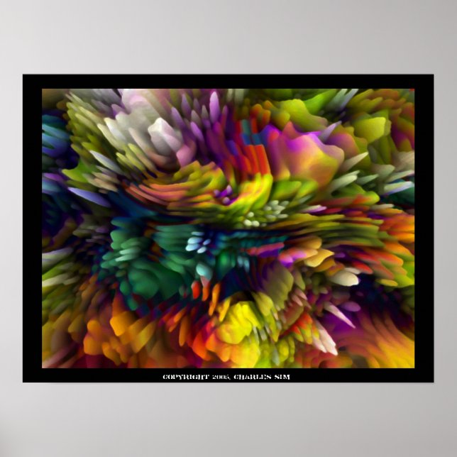 Poster Explosion de couleur (Devant)