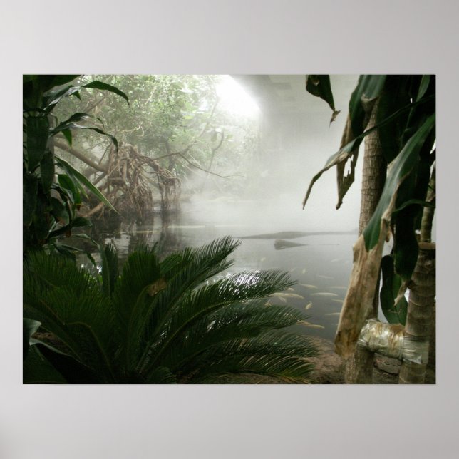 Poster Exposition Zoo Rainforest (Devant)