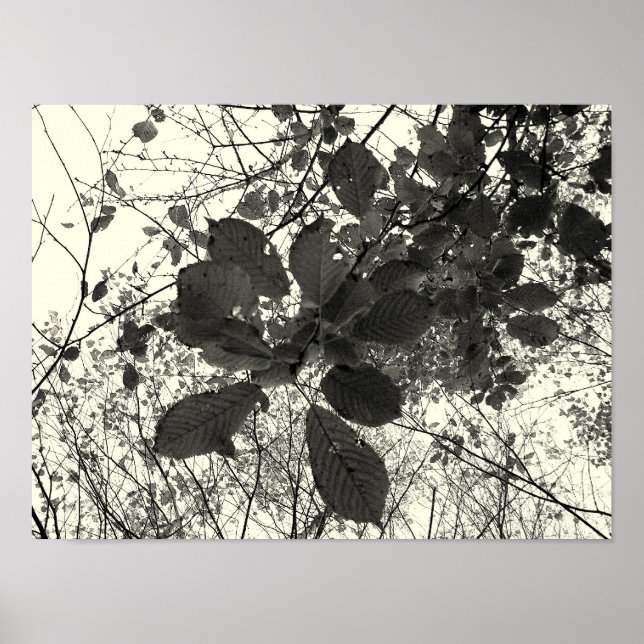 Poster expression (Devant)