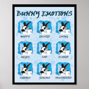 POSTER EXPRESSIONS SPOT