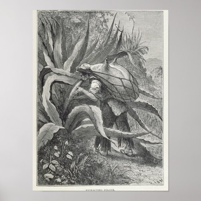 Poster Extraction du pulque (Devant)